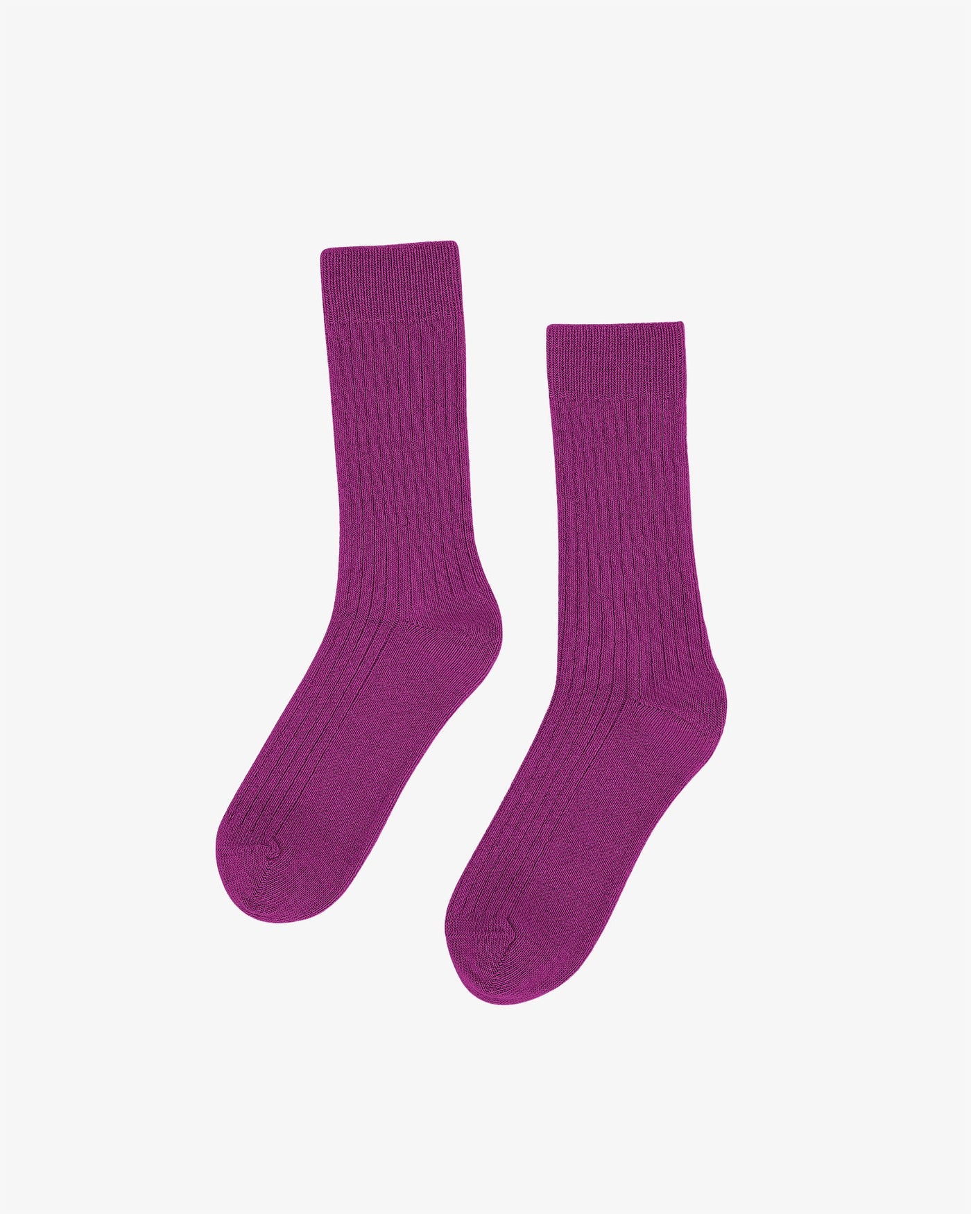 A pair of Colorful Standard's Merino Wool Blend Socks, featuring a purple ribbed crew design, displayed on a white background.