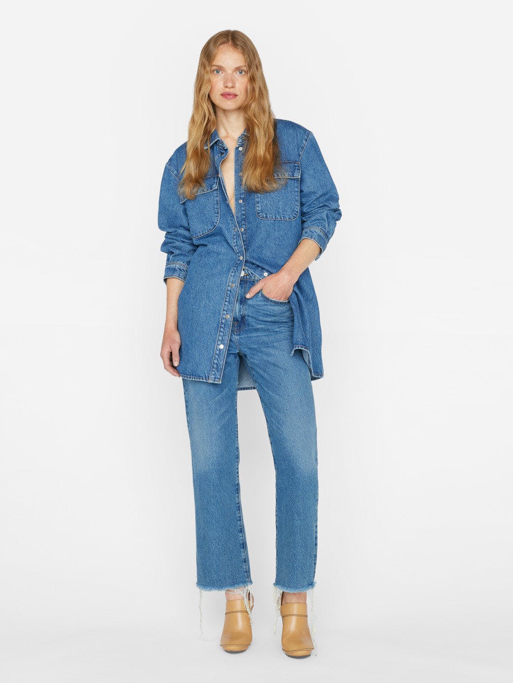 The model is wearing a bestselling Frame Le Jane Crop - Caramia blue denim shirt and jeans.