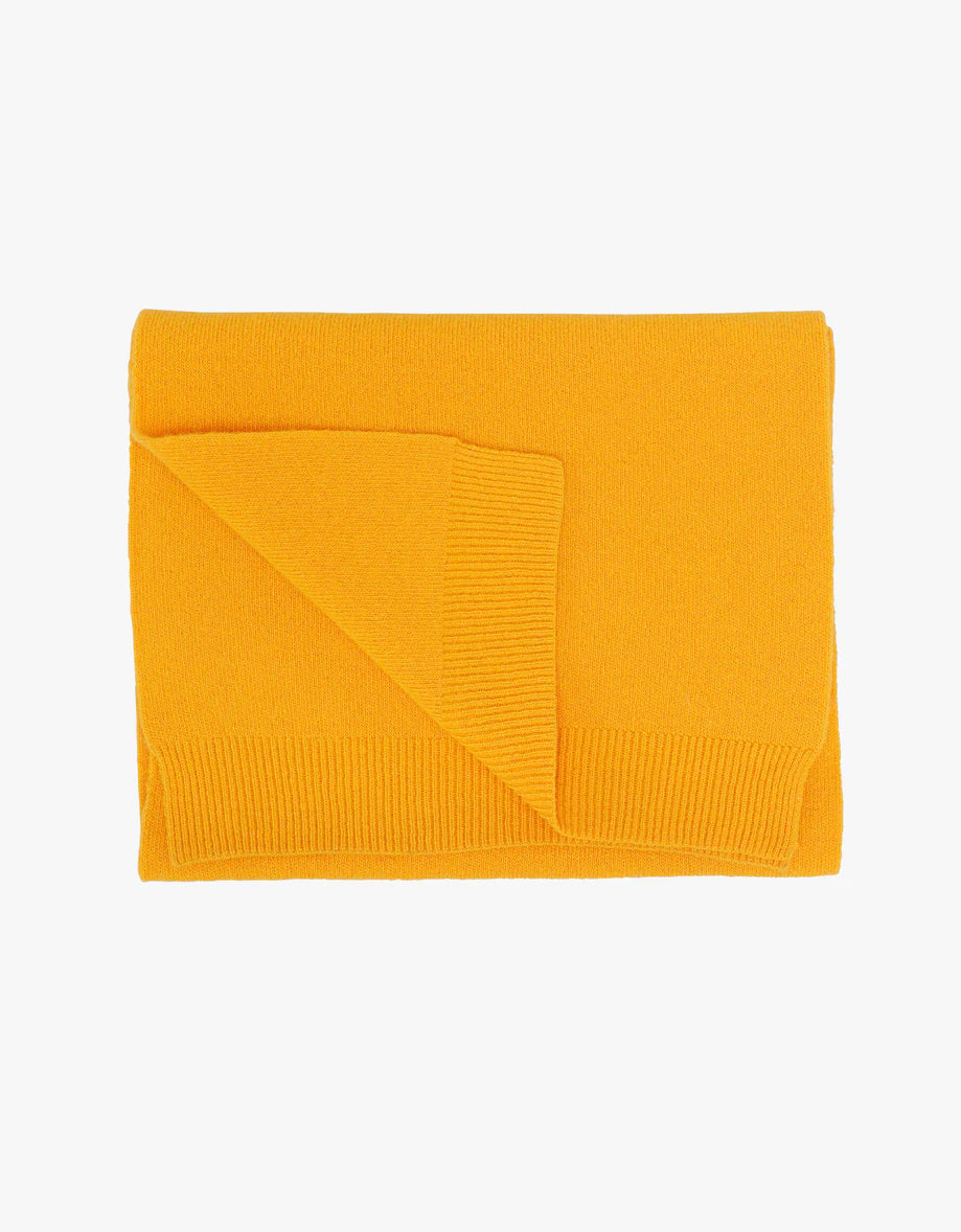 A luxurious Merino Wool Scarf by Colorful Standard on a white background.