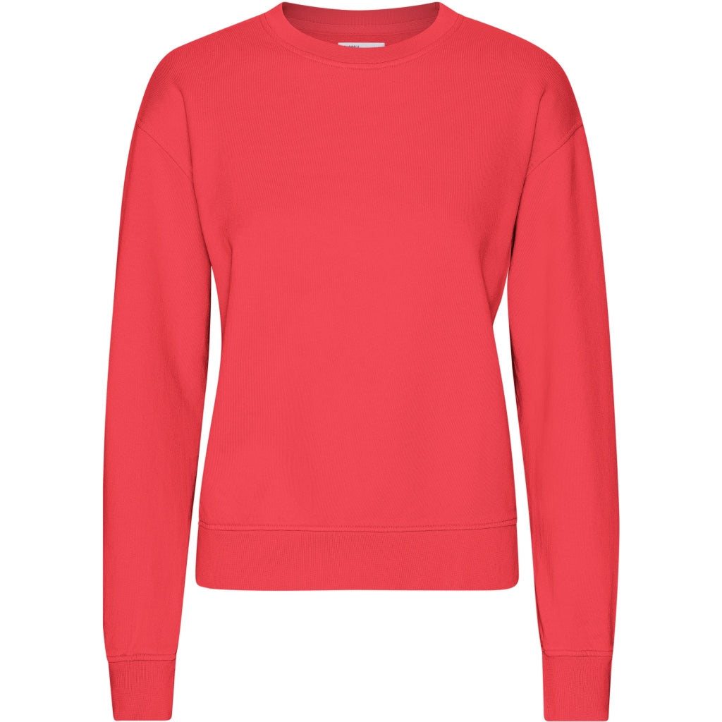 The Colorful Standard Classic Organic Crew sweatshirt in plain red is made from organic cotton, without any visible branding or design.