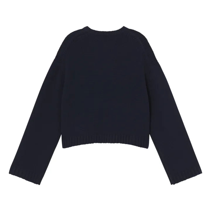 The Tiny Big Sister Tie Detail Cardigan in navy is a plain, long-sleeve, mid-weight sweater shown from the back against a white background.