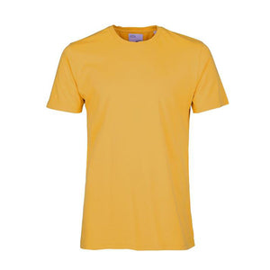 Organic tee by Colorful Standard in Yellow